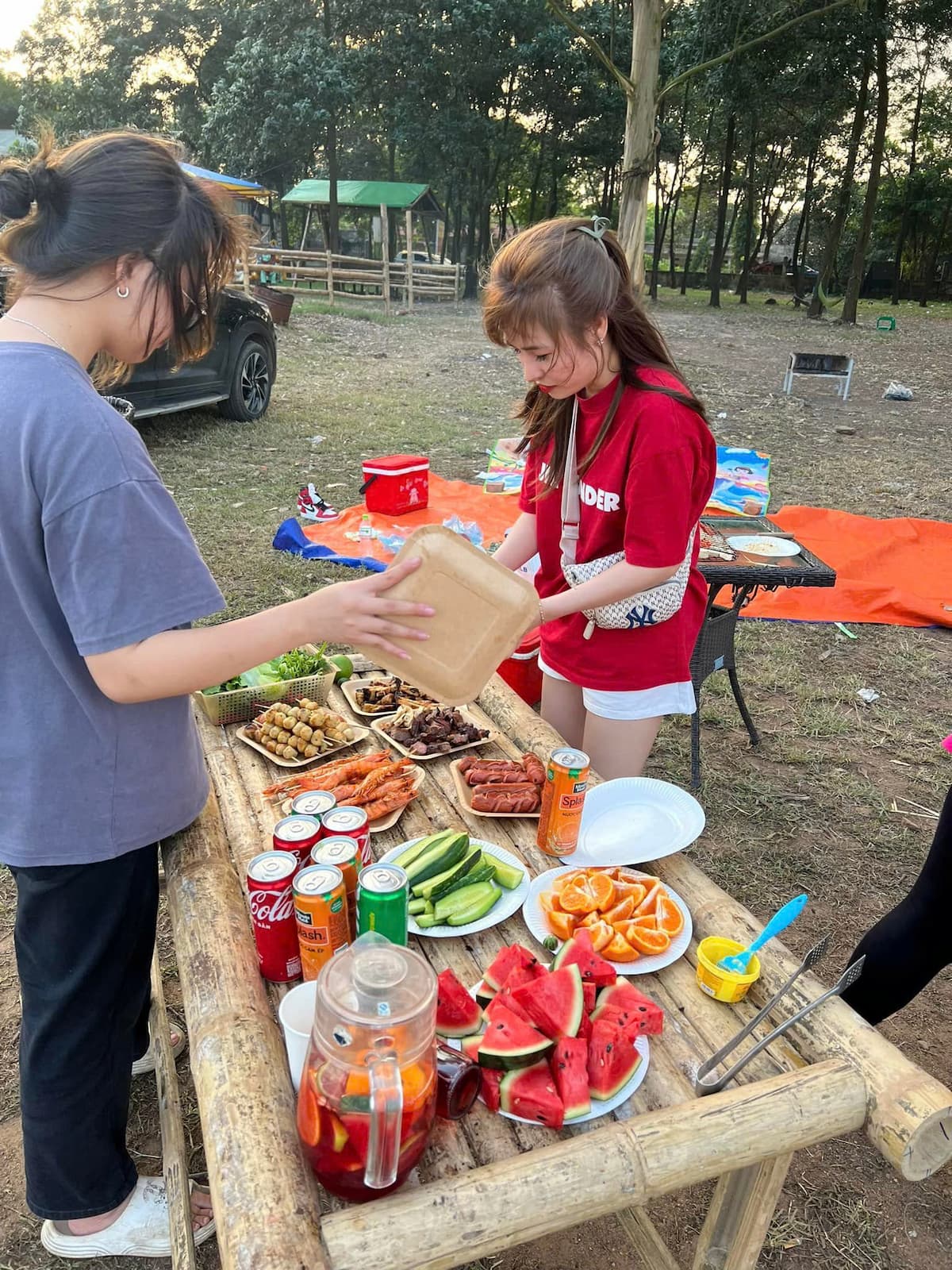Bữa ăn dã ngoại với nhiều món tươi sống, trái cây và nước ngọt – cần bảo quản đúng cách khi cắm trại 1 – 2 ngày ngoài trời